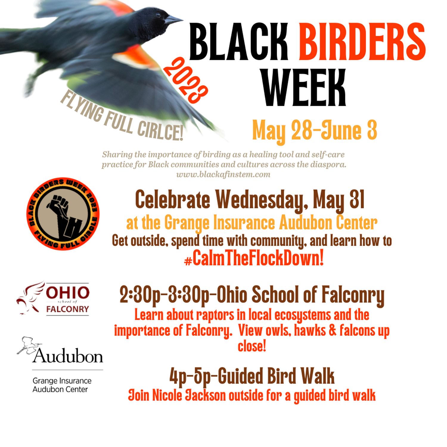 Ohio Birds Eye Part 2: Birds Of Prey 